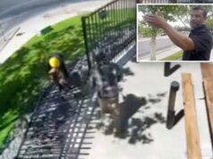Proprietário de destilaria do Novo México surpreso com roubo de cerca de US $ 10 mil em plena luz do dia: ‘Não sabia que as pessoas roubavam cercas’ Proprietário de destilaria do Novo México surpreso com roubo de cerca de US $ 10 mil em plena luz do dia: 'Não sabia que as pessoas roubavam cercas'