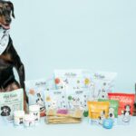 Proprietários de cães estão mudando para este serviço de refeições personalizado