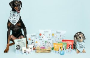 Proprietários de cães estão mudando para este serviço de refeições personalizado Proprietários de cães estão mudando para este serviço de refeições personalizado