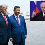 Putin visitará o 'querido amigo' Xi Jinping dias após a viagem de alto risco de Trump a Pequim