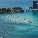 Pelo menos 15 pessoas foram levadas ao hospital depois que um barco explodiu na praia de Haulover no sábado (foto: imagem de stock)