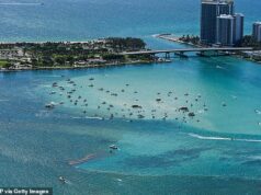Quinze pessoas foram levadas ao hospital após ‘explosão de barco’ em Miami Pelo menos 15 pessoas foram levadas ao hospital depois que um barco explodiu na praia de Haulover no sábado (foto: imagem de stock)