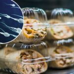 Recipientes de plástico para alimentos podem estar matando seu esperma – mas um suplemento inspirado em cocô pode ajudar