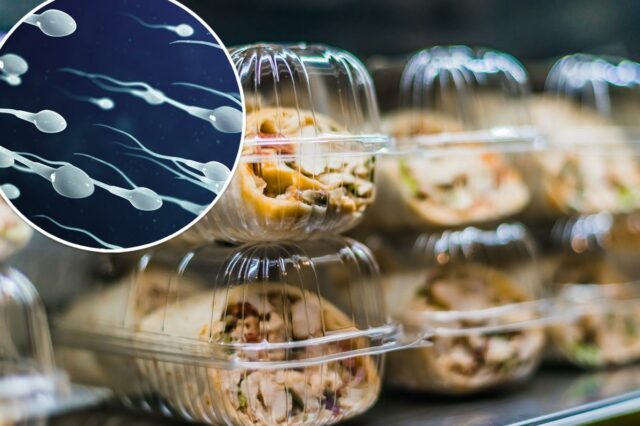 Recipientes de plástico para alimentos podem estar matando seu esperma Recipientes de plástico para alimentos podem estar matando seu esperma – mas um suplemento inspirado em cocô pode ajudar