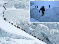 Recorde de 274 alpinistas escalando o Monte Everest em um único dia, à medida que aumentam os temores de superlotação Recorde de 274 alpinistas escalando o Monte Everest em um único dia, à medida que aumentam os temores de superlotação