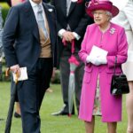 A falecida Rainha pressionou pessoalmente pela controversa nomeação de Andrew Mountbatten-Windsor como enviado comercial do Reino Unido, revelaram arquivos governamentais recém-divulgados