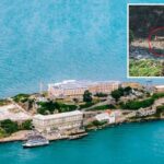 Reviravolta incrível no caso de coiote vivendo em Alcatraz após nadar com monstros