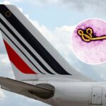 Left: An Air France plane at Charles de Gaulle airport in Paris in 2021. Inset: an Ebola virus virion.