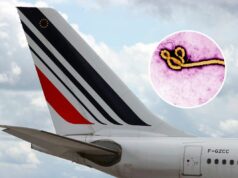 Risco de Ebola desvia voo para Detroit enquanto EUA atualizam restrições de viagem Left: An Air France plane at Charles de Gaulle airport in Paris in 2021. Inset: an Ebola virus virion.