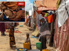 Risco de fome ameaça partes da Somália pela primeira vez em 4 anos Risco de fome ameaça partes da Somália pela primeira vez em 4 anos