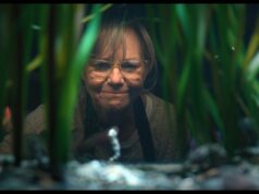 Sally Field sobre ‘criaturas notavelmente brilhantes’ e por que ela ainda não terminou Sally Field sobre ‘criaturas notavelmente brilhantes’ e por que ela ainda não terminou