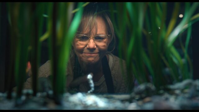 Sally Field sobre ‘criaturas notavelmente brilhantes’ e por que ela ainda não terminou
