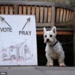 O cachorro Rory espera ao lado de uma placa colocada do lado de fora da seção eleitoral no St James Church Hall em Inverleith, Edimburgo