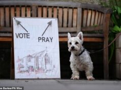 São cães nas assembleias de voto! As melhores fotos dos eleitores levando seus amigos de quatro patas para votar nas eleições locais O cachorro Rory espera ao lado de uma placa colocada do lado de fora da seção eleitoral no St James Church Hall em Inverleith, Edimburgo