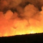 Si Jago Merah Mengamuk di Tambora, 105 funcionários Damkar Turun Tangan