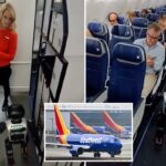 Southwest Airlines proíbe robôs depois que o humanóide ‘Stewie’ pega um voo
