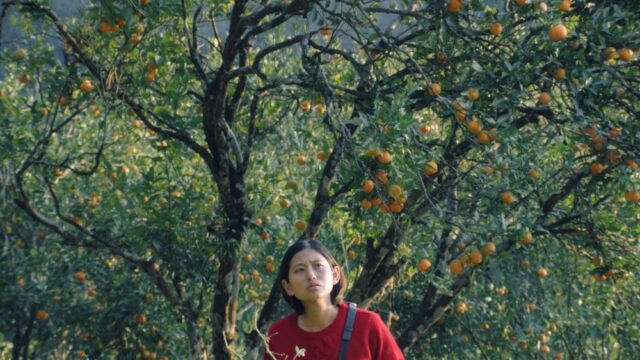 Spirit Media de Rana Daggubati define lançamento teatral indiano para Spirit Media de Rana Daggubati define lançamento teatral indiano para 'Shape of Momo' como Payal Kapadia, Zoya Akhtar e Reema Kagti Board Tribeny Rai's Busan Winner (EXCLUSIVO)
