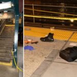 Straphanger de Nova York cai morto entre vagões de trem durante briga por mochila roubada: policiais, fontes