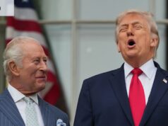 Sua Majestade e nossa farsa: em meio aos protestos do No Kings, Charles superou o presidente tirano O rei Charles da Grã-Bretanha com o presidente dos EUA, Donald Trump, no gramado sul da Casa Branca durante sua visita na semana passada.