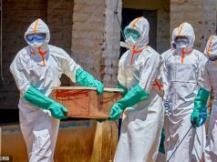 Surto de Ebola causado por cepa rara sem vacina, alertam especialistas quando os casos passam de 900 e os primeiros voluntários da Cruz Vermelha morrem do vírus A Organização Mundial de Saúde afirma que o surto representa um risco ¿muito elevado¿ para o Congo, mas o risco de a doença se espalhar globalmente permanece baixo