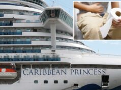 Surto de norovírus adoece quase 120 passageiros e tripulantes a bordo do navio Princess Cruises Surto de norovírus adoece quase 120 passageiros e tripulantes a bordo do navio Princess Cruises