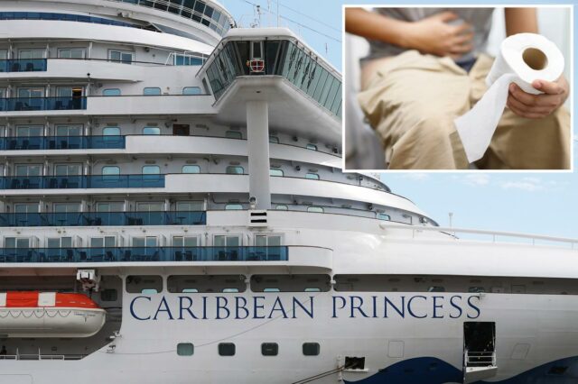 Surto de norovírus adoece quase 120 passageiros e tripulantes a bordo do navio Princess Cruises

