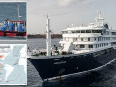 Surto mortal de hantavírus no navio de cruzeiro MV Hondius pode ter este impacto mais recente na indústria: especialista Surto mortal de hantavírus no navio de cruzeiro MV Hondius pode ter este impacto mais recente na indústria: especialista