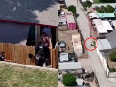 Suspeito da Califórnia preso após perseguição em alta velocidade enquanto a polícia utiliza táticas inteligentes Suspeito da Califórnia preso após perseguição em alta velocidade enquanto a polícia utiliza táticas inteligentes