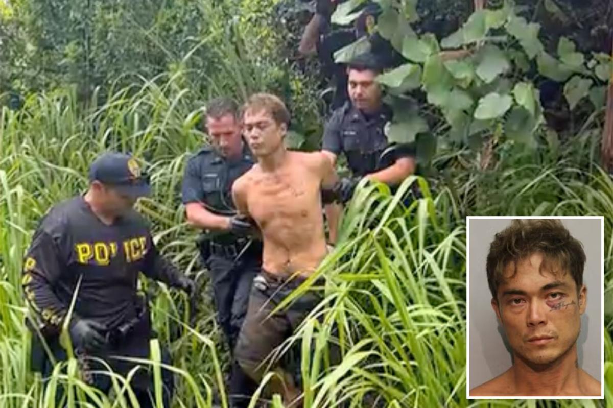 Suspeito de assassinato queria mais de 3 assassinatos presos após intensa busca na Ilha Grande do Havaí