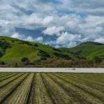 Floodwaters from the Salinas River fill agricultural fields in Spreckels, California, on March 13, 2023.