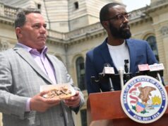 ‘The Bear’ homenageado como a carne italiana é nomeada sanduíche oficial do estado de Illinois 'The Bear' homenageado como a carne italiana é nomeada sanduíche oficial do estado de Illinois