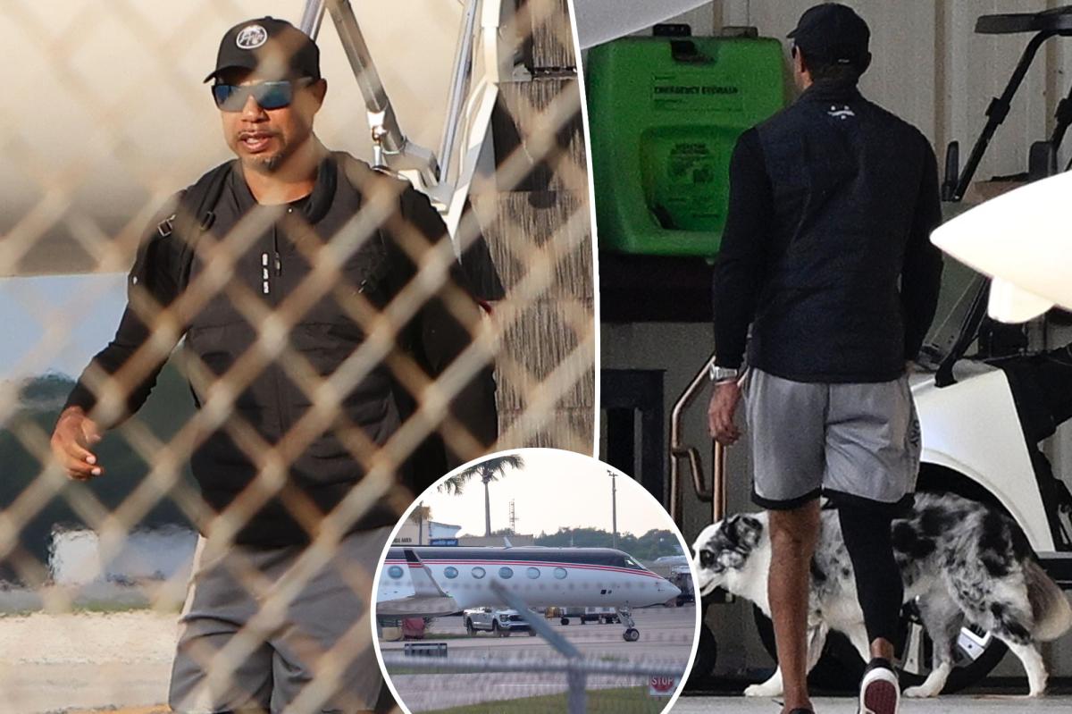 Tiger Woods foi fotografado saindo de um avião particular após um período de reabilitação de um mês por prisão por dirigir alcoolizado