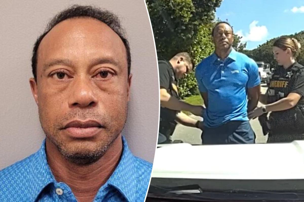 Foto de Tiger Woods após sua prisão por dirigir alcoolizado em 27 de março.
