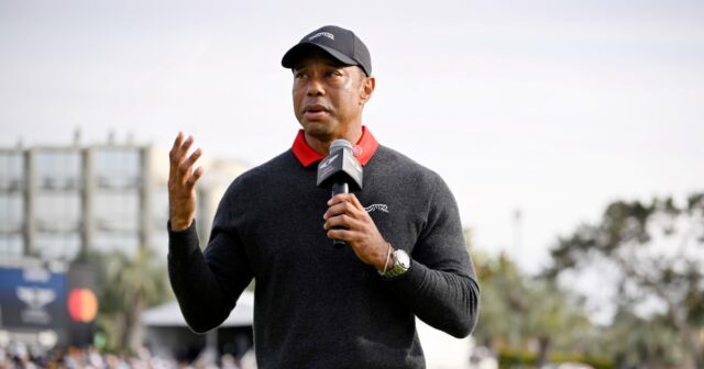 Tiger Woods retorna às redes sociais com a primeira postagem A namorada de Tiger Woods, Vanessa Trump, compartilha a primeira postagem nas redes sociais desde a prisão de um jogador de golfe por DUI