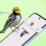Google Pixel 10 Pro XL ao lado de uma pelúcia sorridente