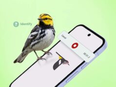 Tive um problema em ficar longe do telefone até que esse aplicativo inesperado aparecesse Google Pixel 10 Pro XL ao lado de uma pelúcia sorridente