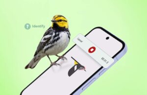 Tive um problema em ficar longe do telefone até que esse aplicativo inesperado aparecesse Google Pixel 10 Pro XL ao lado de uma pelúcia sorridente
