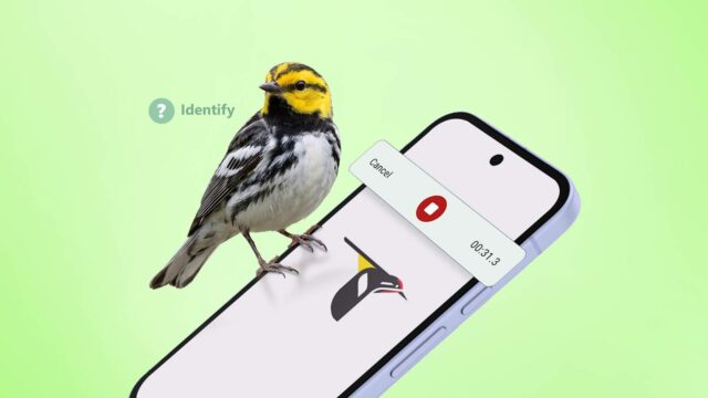 Google Pixel 10 Pro XL ao lado de uma pelúcia sorridente