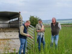 Trailer da 5ª temporada de ‘Clarkson’s Farm’: Jeremy Clarkson fala sobre o susto do coração, ajuda a dar à luz um bezerro e fala em um protesto de fazendeiros Trailer da 5ª temporada de 'Clarkson's Farm': Jeremy Clarkson fala sobre o susto do coração, ajuda a dar à luz um bezerro e fala em um protesto de fazendeiros