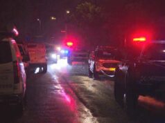 Três mortos em suposto ataque de violência doméstica em Sydney Três mortos em suposto ataque de violência doméstica em Sydney