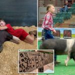 Três vizinhos macabros supostamente mataram o porco de terapia do menino e depois foram encontrados em aventais perto de uma panela de água fervente