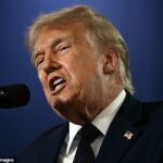 Donald Trump insistiu que o acordo com o Irã atualmente em negociação é “EXATAMENTE O OPOSTO” do acordo nuclear da era Obama, do qual ele se retirou em 2018, e disse que os críticos estavam atacando algo que ainda não estava totalmente finalizado.