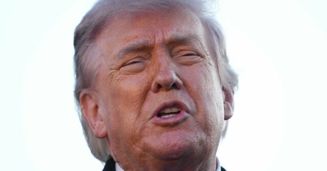 Donald Trump apelou a mais legislaturas para desmantelar os assentos da maioria negra no Congresso.