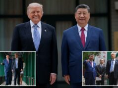Trump e Xi ‘resolveram muitos problemas diferentes’ que outros não conseguiram, diz Prez na cúpula da China Trump e Xi ‘resolveram muitos problemas diferentes’ que outros não conseguiram, diz Prez na cúpula da China