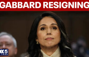 Tulsi Gabbard renuncia ao cargo de diretora de inteligência nacional, citando a saúde de seu marido Tulsi Gabbard renuncia ao cargo de diretora de inteligência nacional, citando a saúde de seu marido
