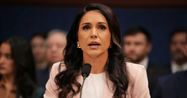 Tulsi Gabbard renuncia em meio à rara batalha do marido Chefe de Gabinete da Casa Branca, Susie Wiles, 68, compartilha diagnóstico de câncer de mama