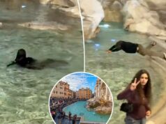 Turista da Nova Zelândia mergulha de cabeça na Fontana di Trevi – e turistas ficam chateados: ‘É desrespeitoso’ Turista da Nova Zelândia mergulha de cabeça na Fontana di Trevi – e turistas ficam chateados: ‘É desrespeitoso’