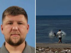 Turista jogou pedra na foca-monge havaiana para proteger tartarugas: advogado Left: Driver's license image of Lytvynchuk. Right: Image of the attack.