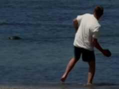 Turista vil filmado atirando pedras em uma foca havaiana e depois se gabando de ‘Sou rico’ oferece uma desculpa surpreendente para seu comportamento Igor Lytvynchuk, 38 anos, foi visto diante das câmeras jogando uma pedra em uma foca-monge havaiana em 5 de maio em Lahaina
