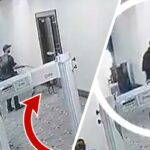 Um K9 tentou alertar seu treinador sobre o suspeito de atirar no WHCD, Cole Allen?
